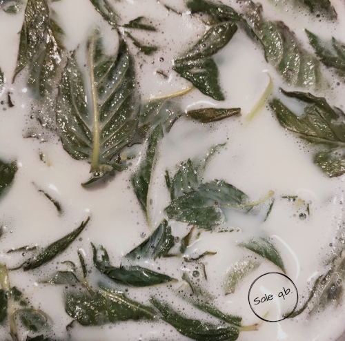 gelato alla menta preparazione